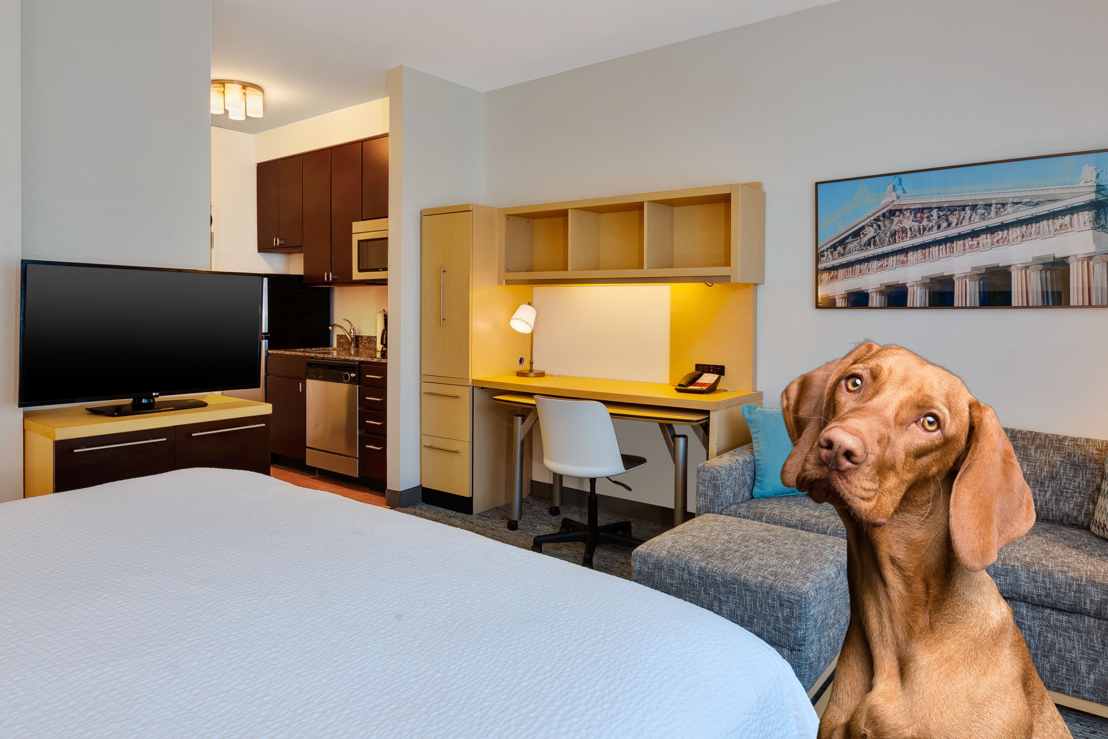 Photo - TownePlace Suites by Marriott Nashville Airport