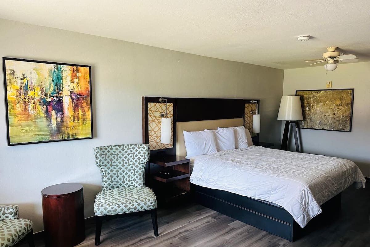 Deluxe Single Room, Non Smoking | Pillow-top beds, desk, iron/ironing board, free WiFi