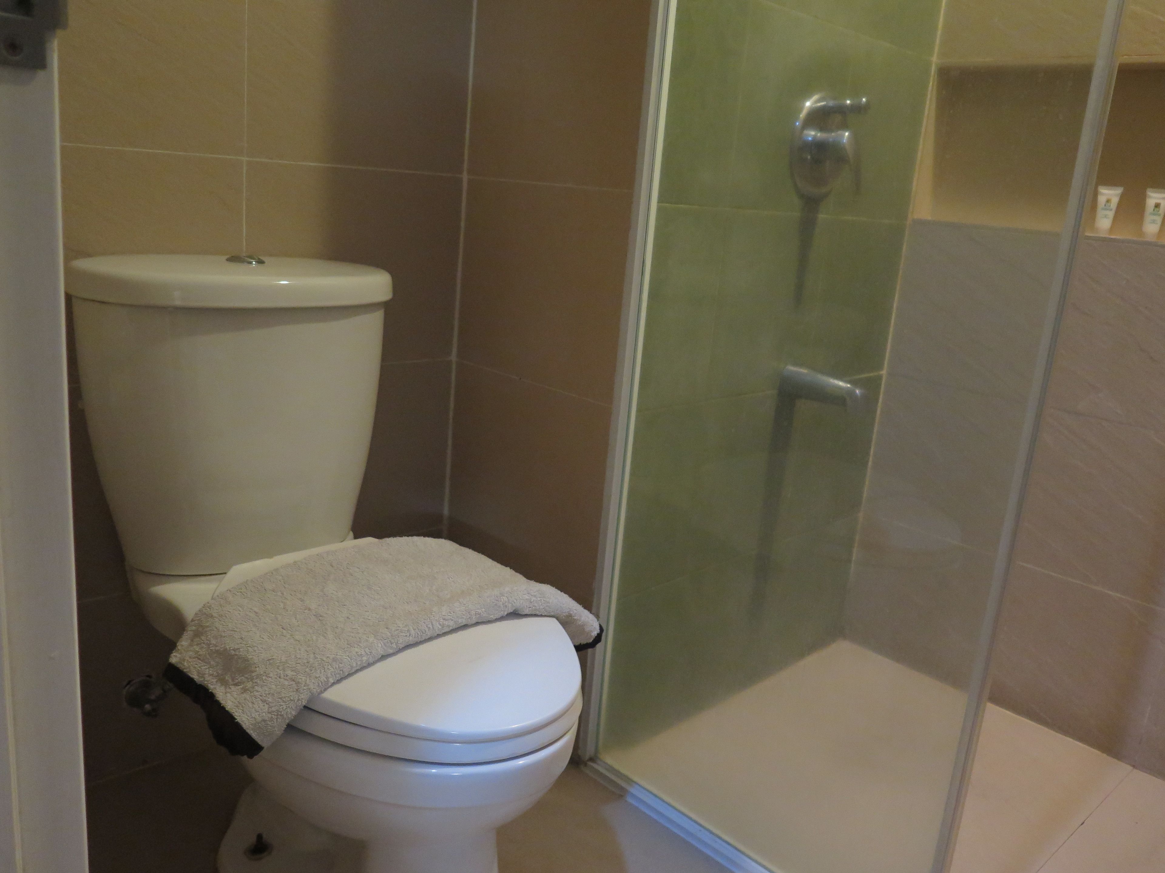 A bathroom with a toilet, a glass shower enclosure, and a towel on the toilet seat.