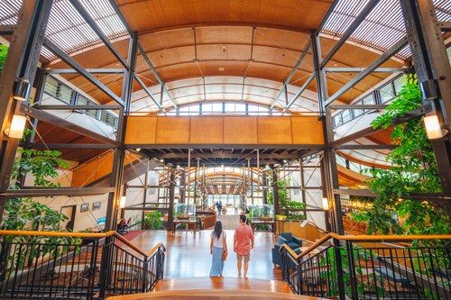 Kingfisher Bay Resort