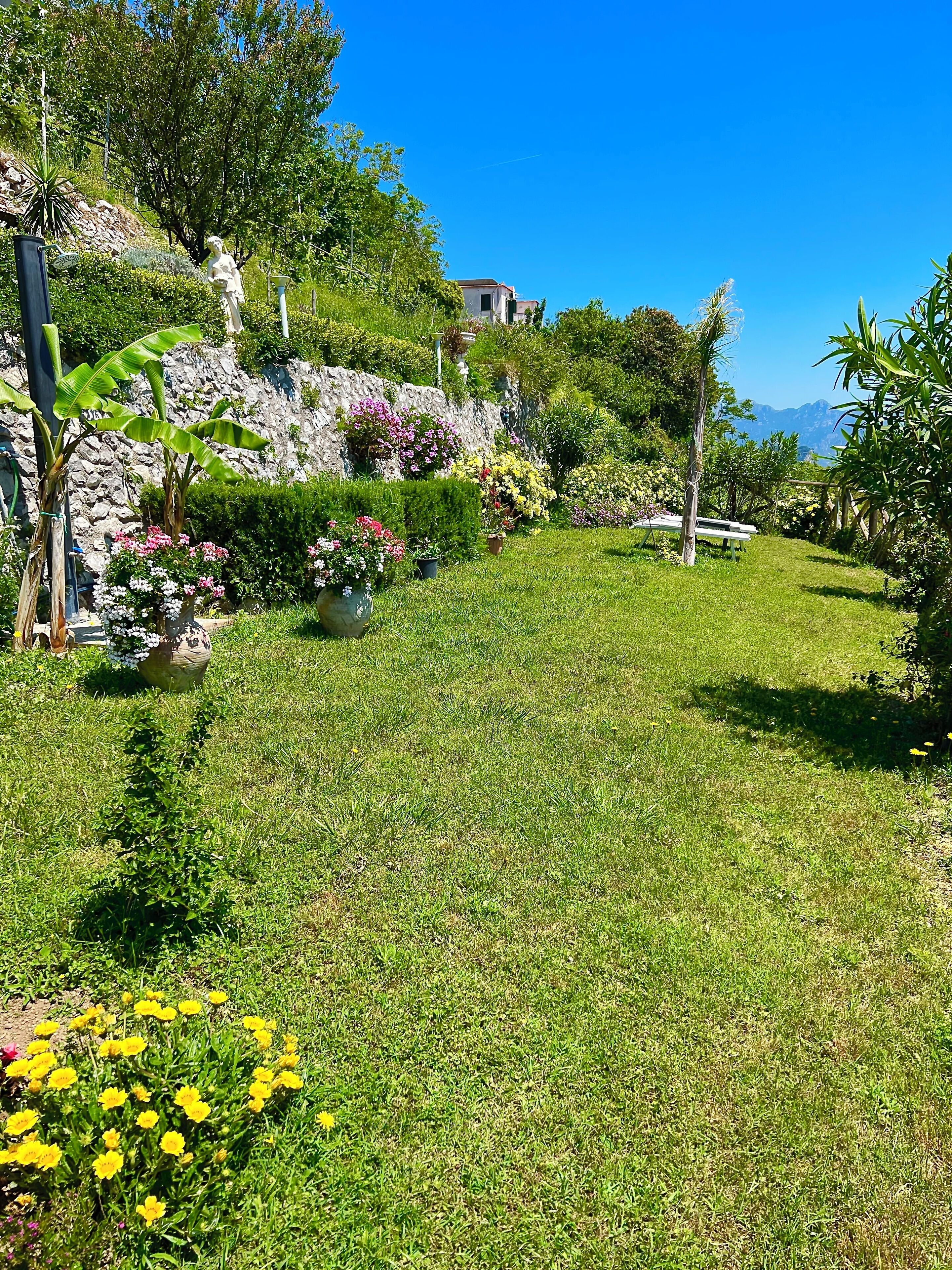Ein gepflegter Garten mit verschiedenen Pflanzen und Blumen, einer Steinmauer und einer Bank.