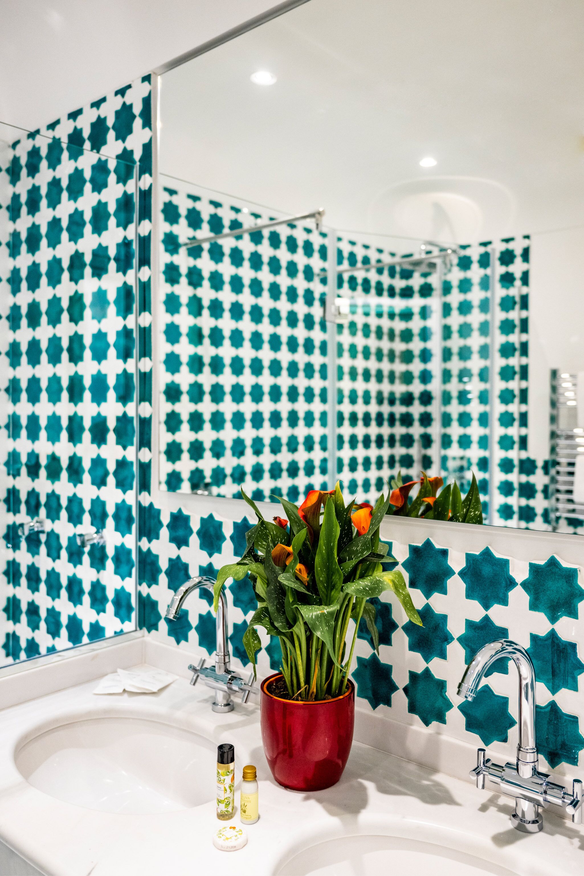 A bathroom with a sink, two faucets, a mirror, and a potted plant with flowers.