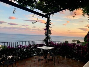 Teras/patio