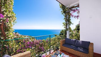 Tremannsrom – deluxe | Terrasse/patio
