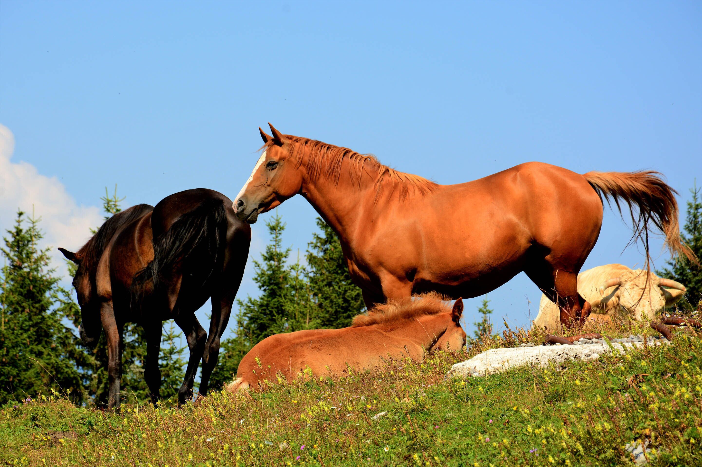land view from property
