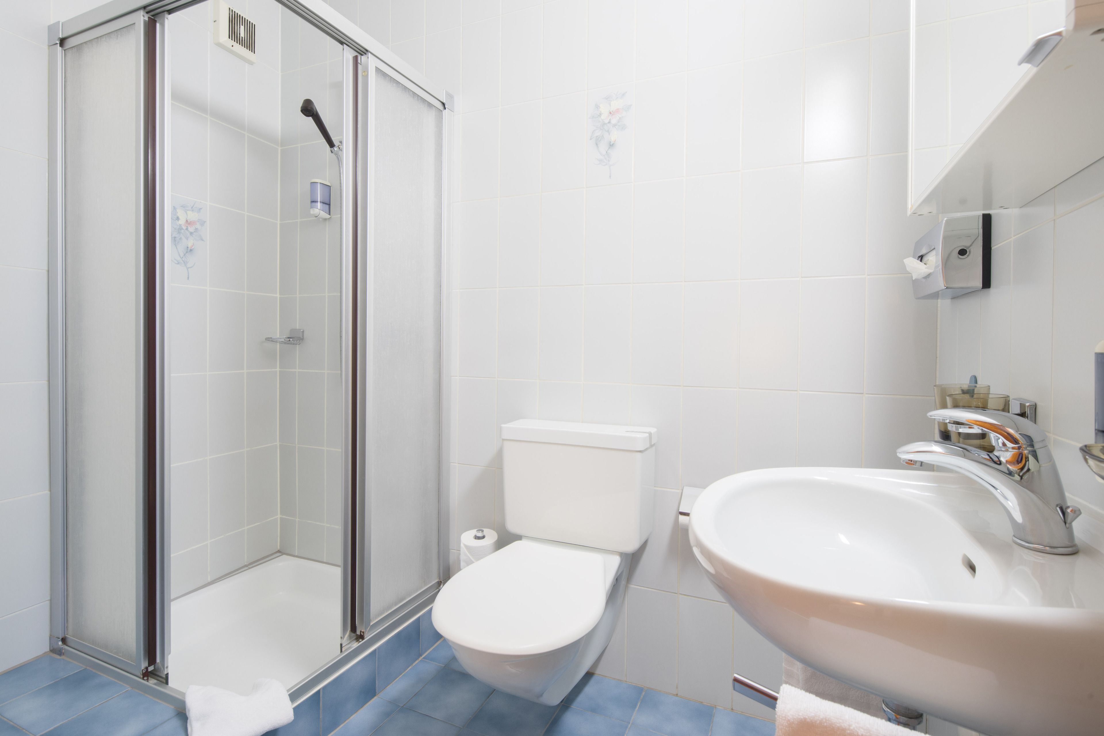 comfort double room, lake view | bathroom | shower, free toiletries, hair dryer, towels