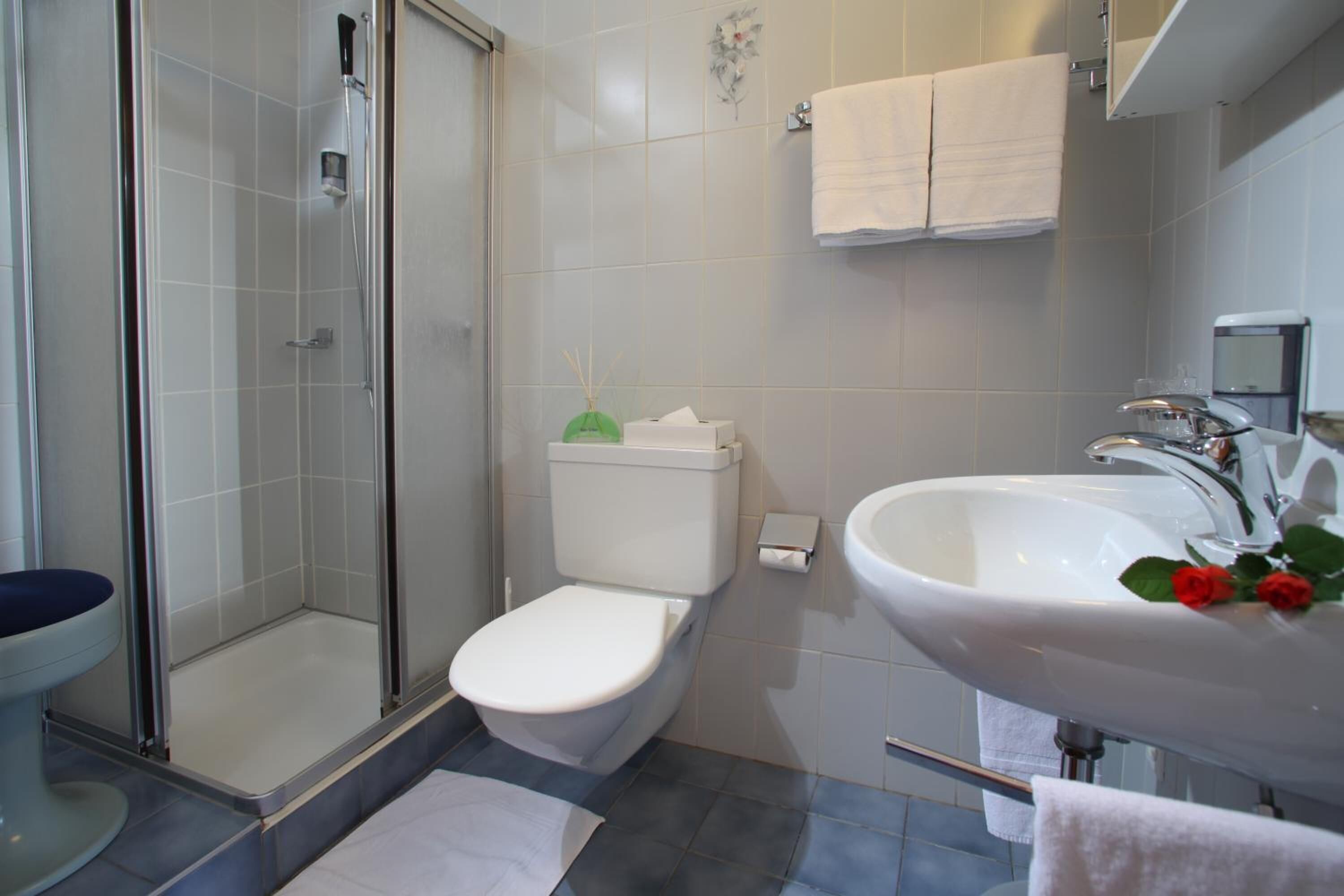 shower, free toiletries, hair dryer, towels