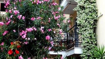 Egyptian cotton sheets, premium bedding, memory foam beds