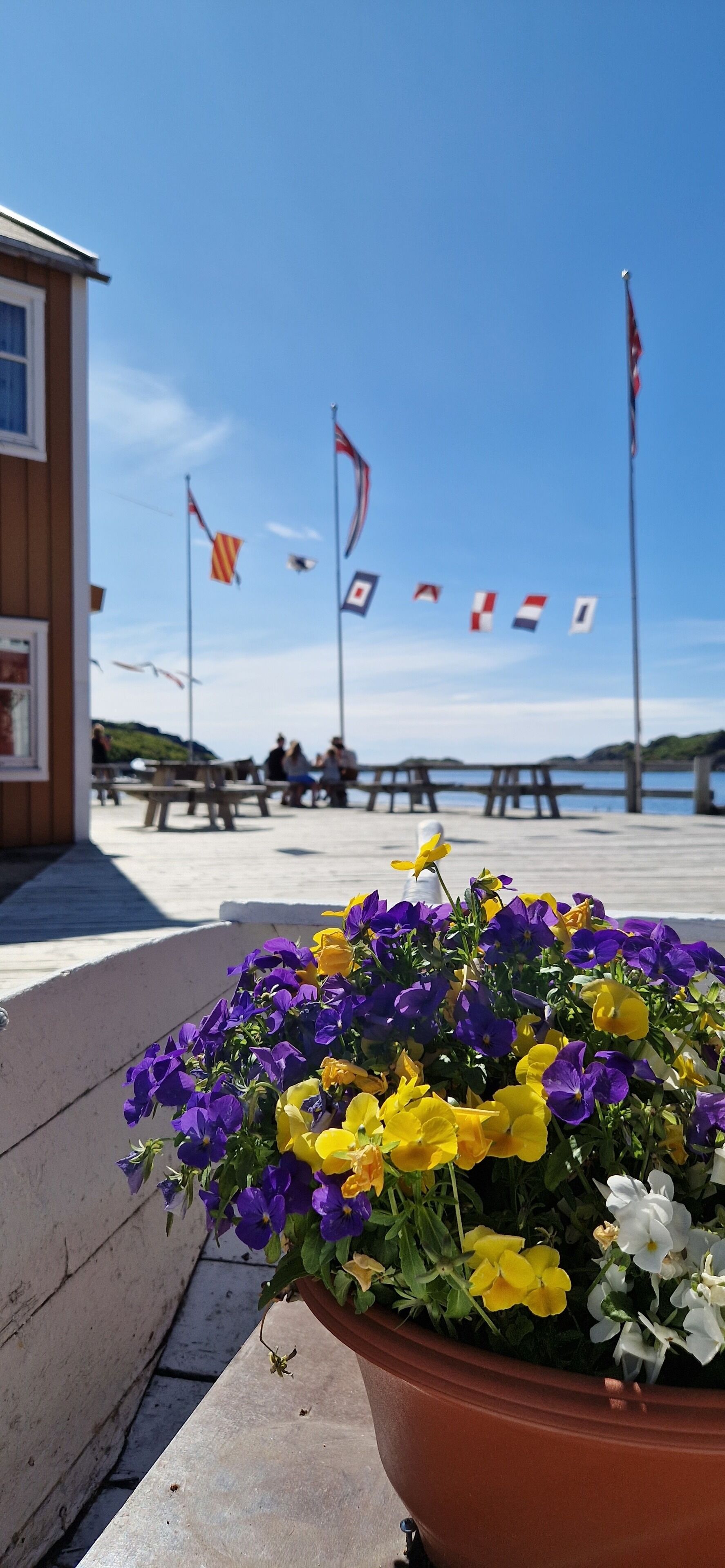 Overnattingsstedets uteområder