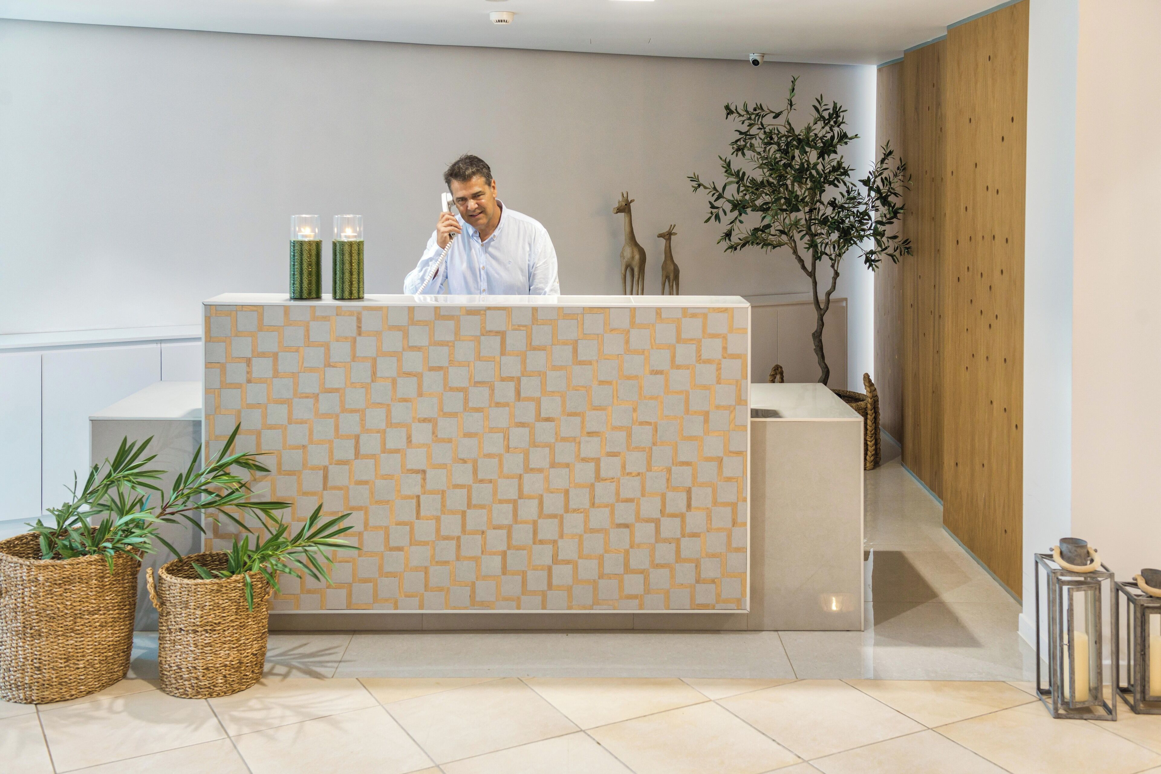A reception desk with a geometric patterned backdrop, two potted plants, and decorative elements like a tree and animal figures.