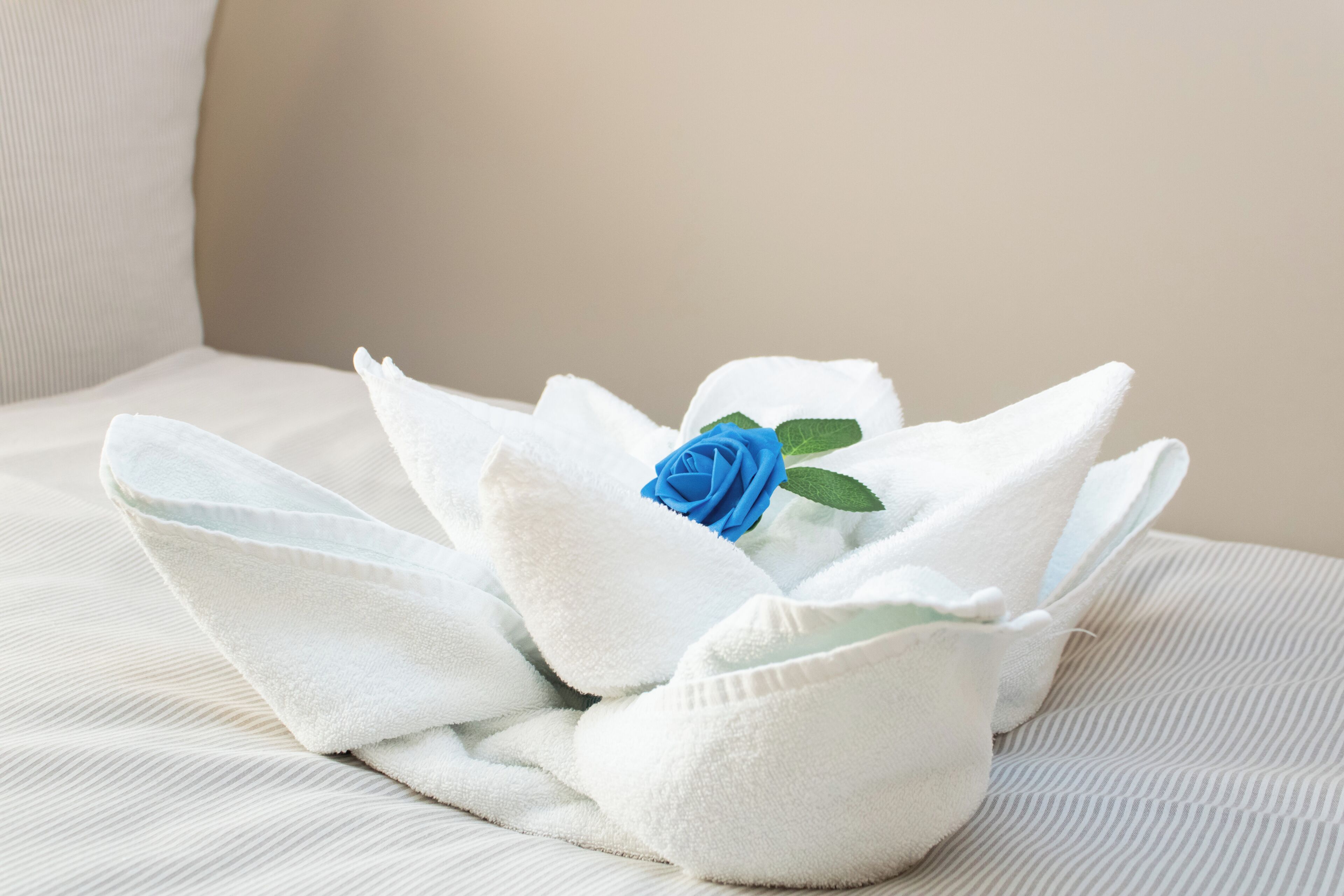 A neatly folded white towel with a blue rose on a bed.