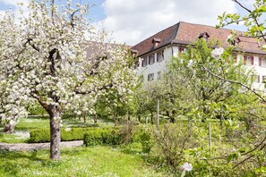Garden - Kloster Dornach (Dornach)