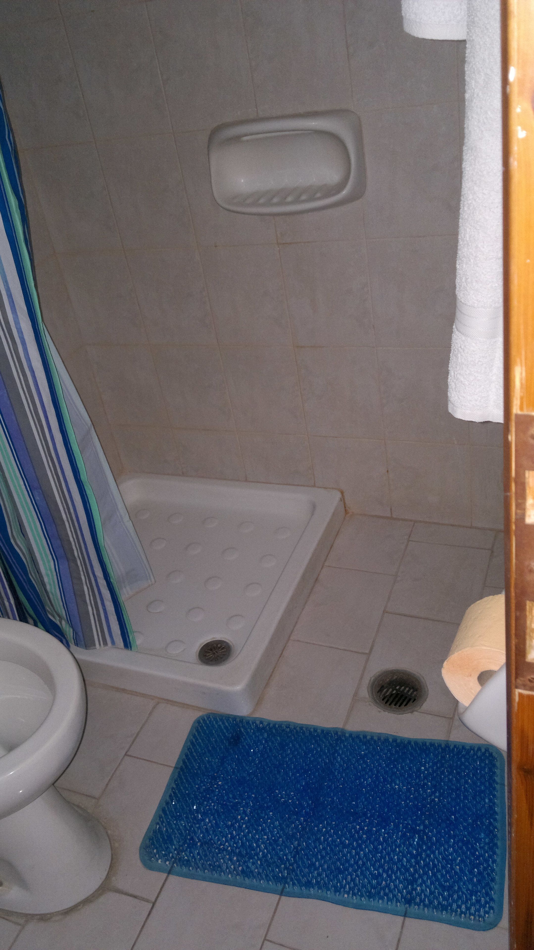 A bathroom with a shower, toilet, and a blue bath mat.