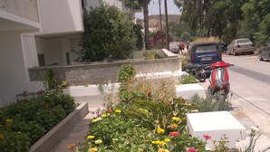 حديقة