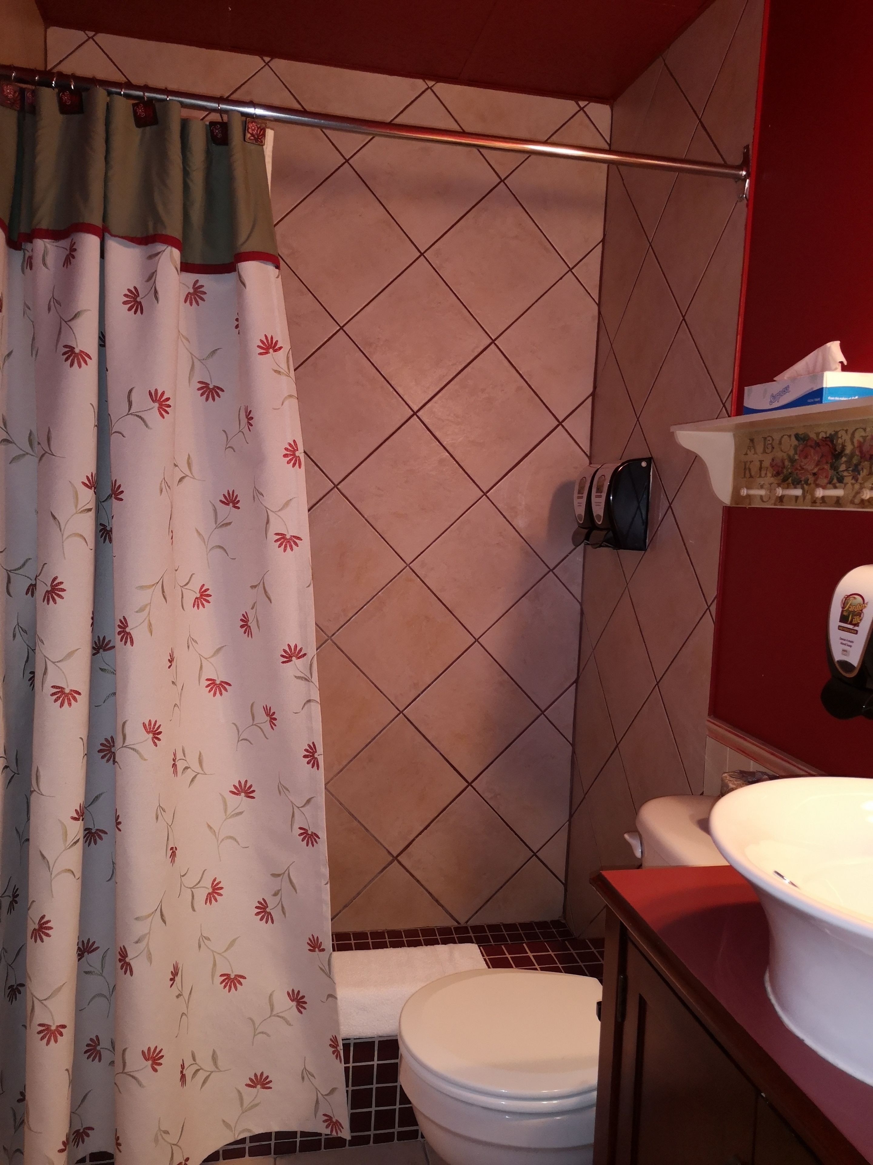 Een badkamer met douchegordijn, toilet, wastafel en zeepdispenser.