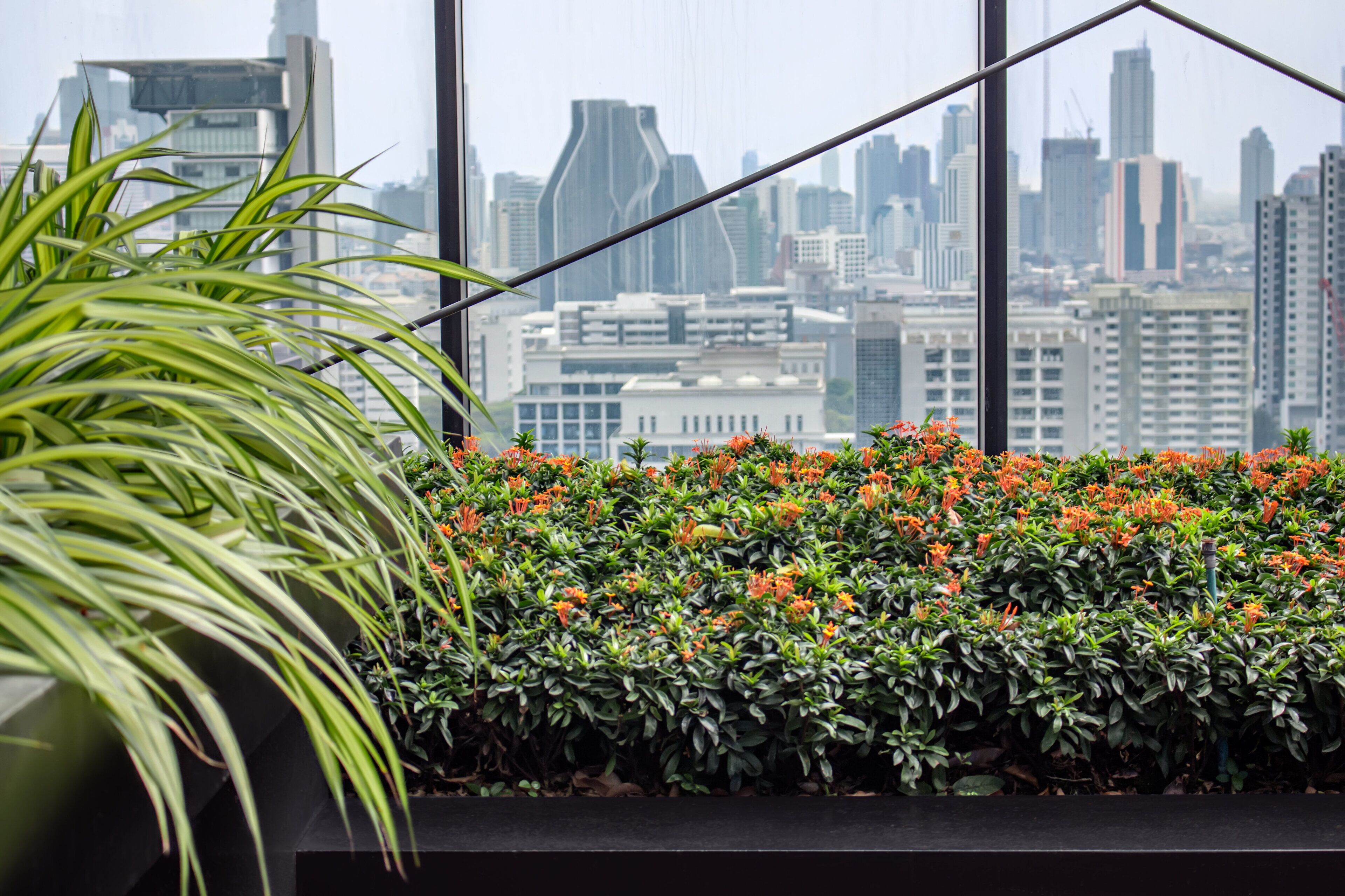 A view of a cityscape through a window with a potted plant and flowers in the foreground.