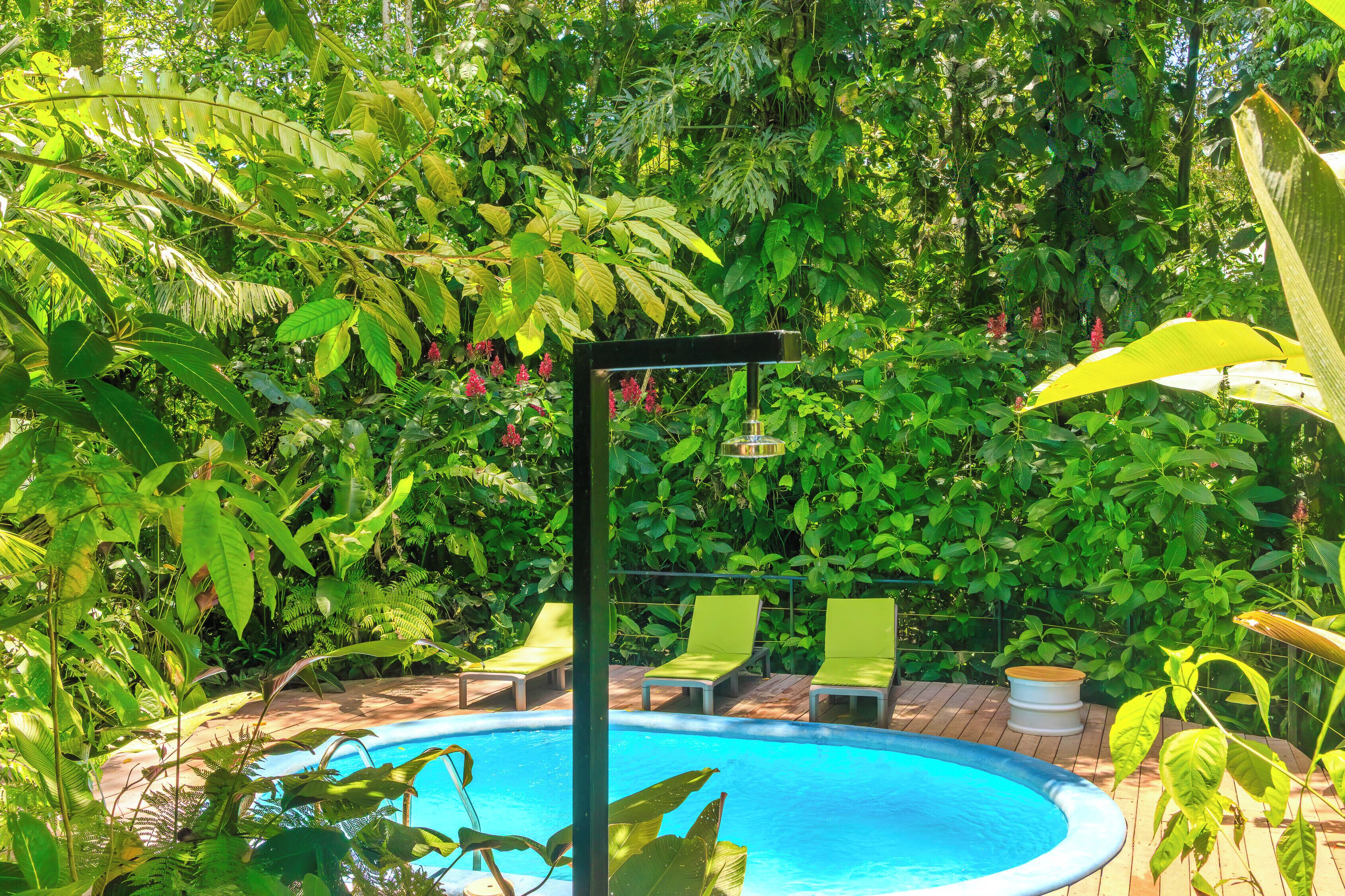 A pool surrounded by lush greenery, with lounge chairs and a small table.