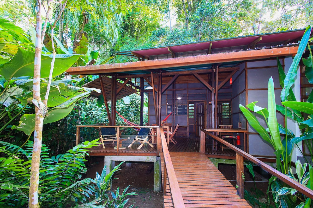 A wooden deck leading to a building surrounded by lush greenery.