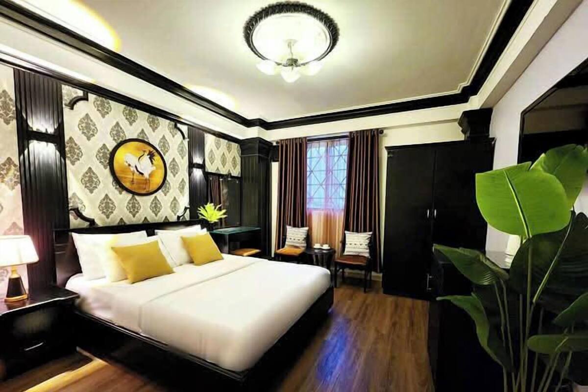 A hotel room with a bed, bedside table, lamp, and a large plant.