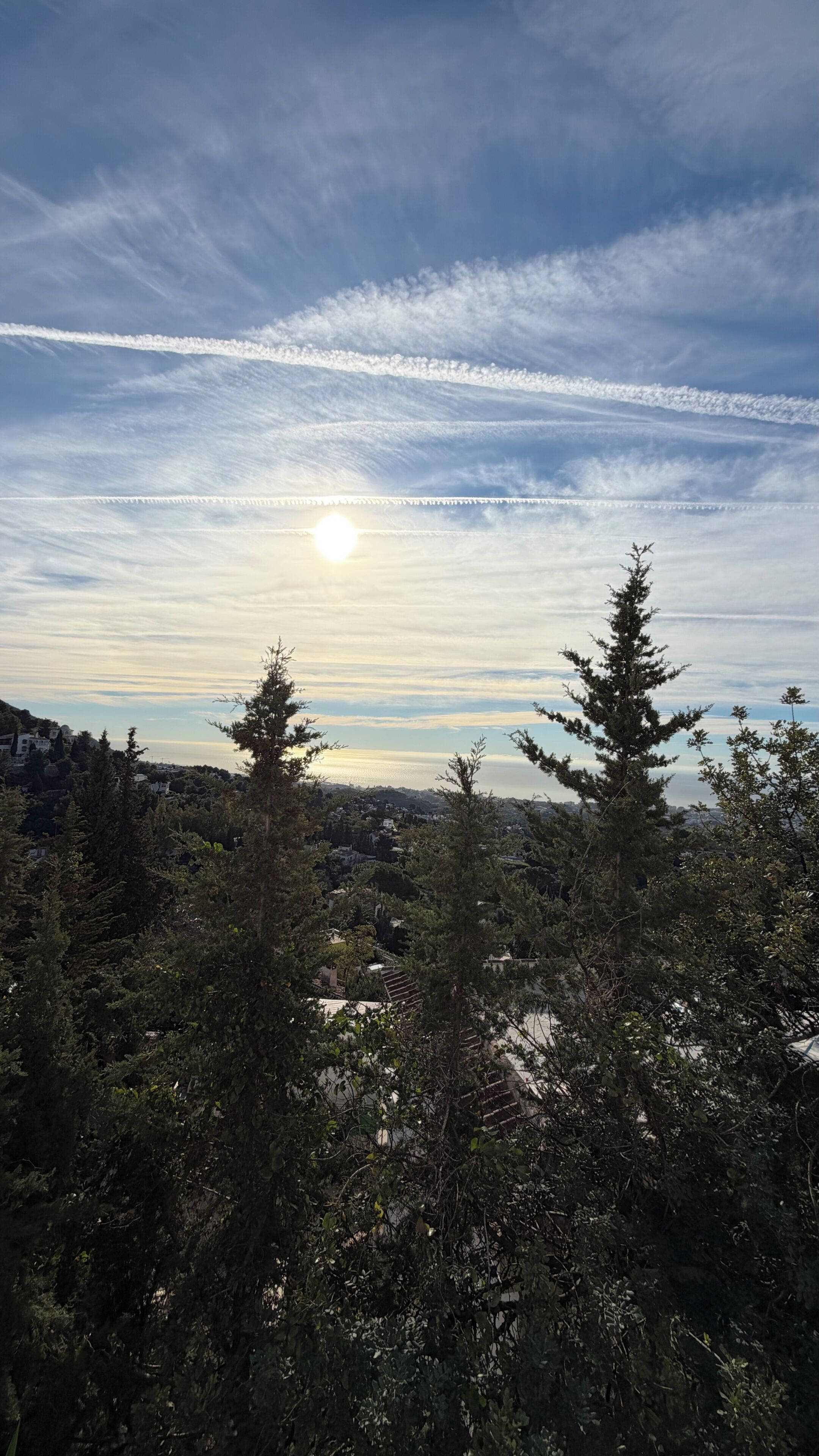 A landscape with a clear sky, trees, and a distant view of a town.