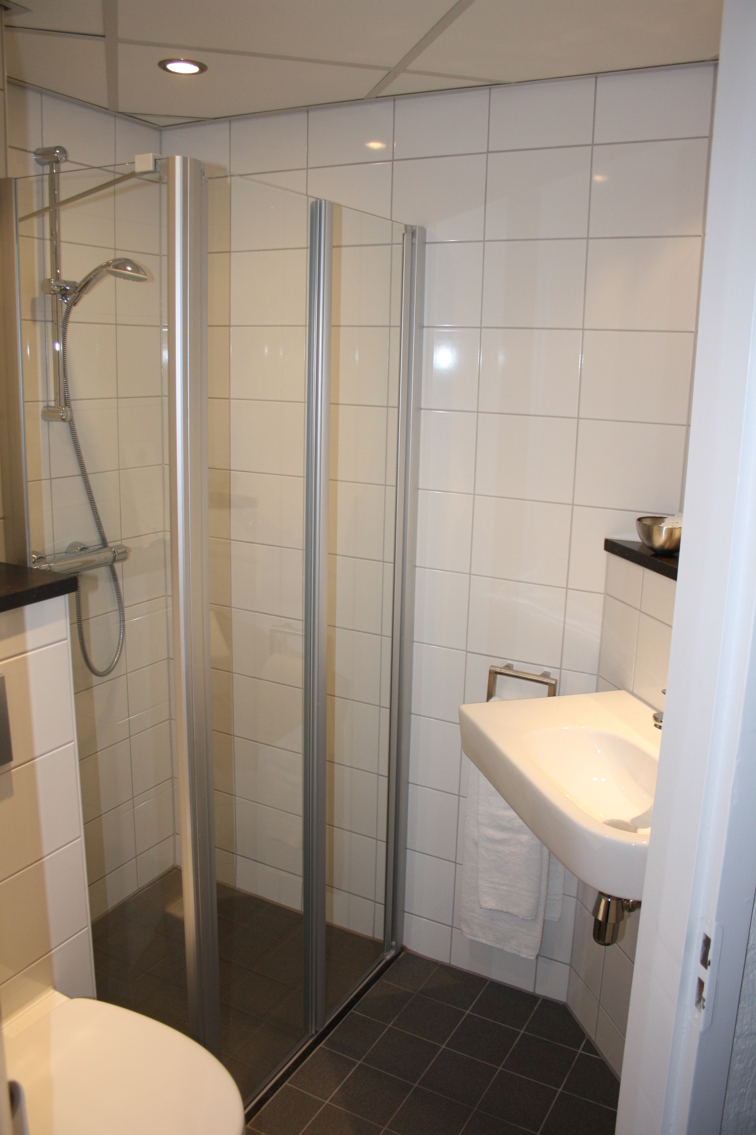 Une salle de bain moderne avec une douche à parois de verre, un lavabo blanc et des toilettes.