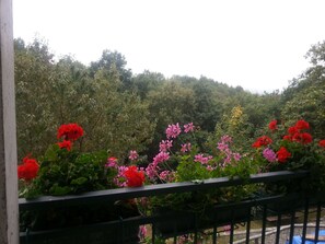 View from room