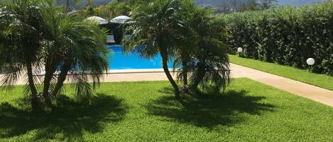 A swimming pool surrounded by lush greenery and palm trees, with a clear view of distant mountains.
