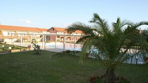 A pool area with a palm tree, a covered seating area, and a building with a red roof in the background. - Baia dei Canonici (Borgia)