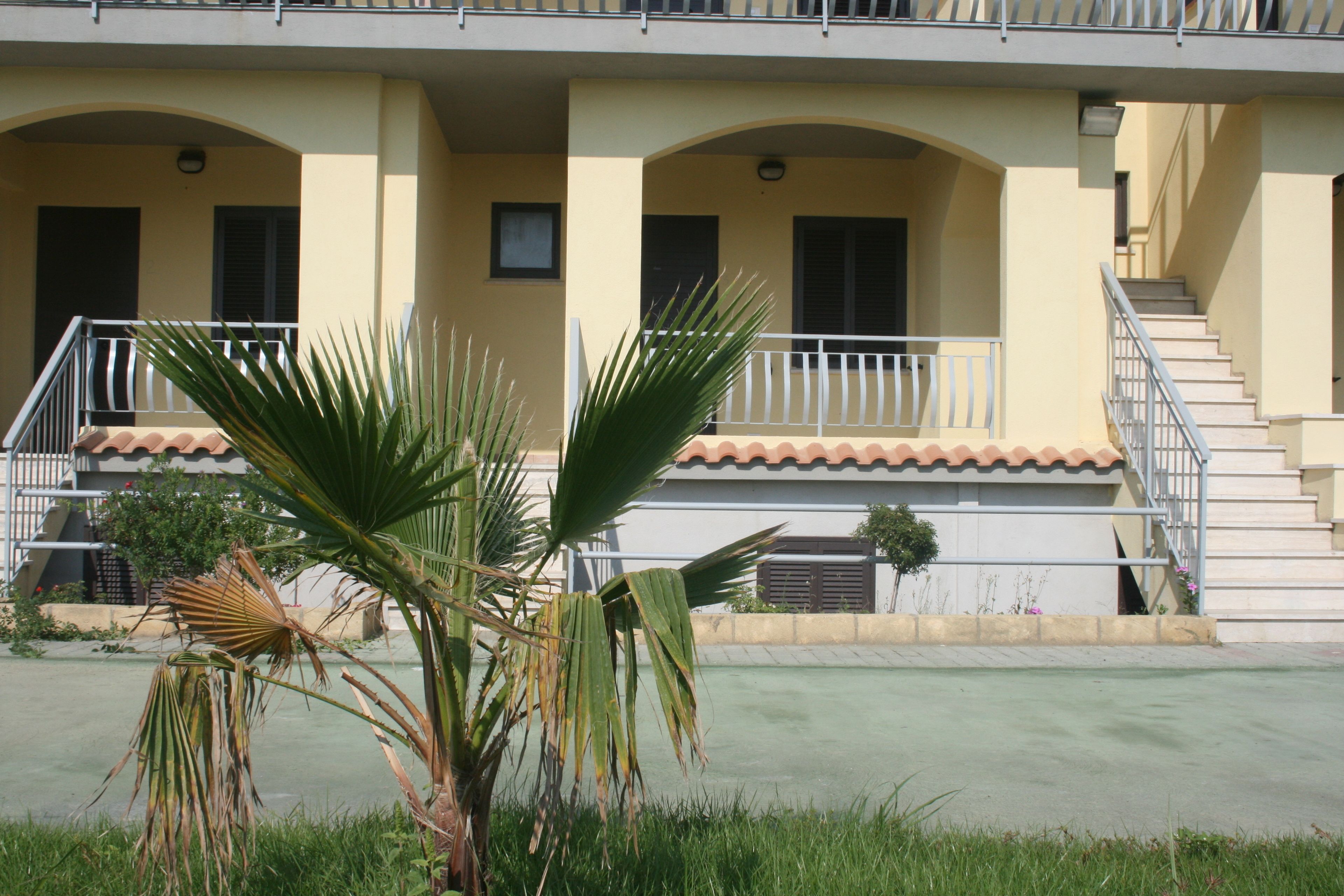 A building with a balcony, a staircase, and a palm tree in the foreground.