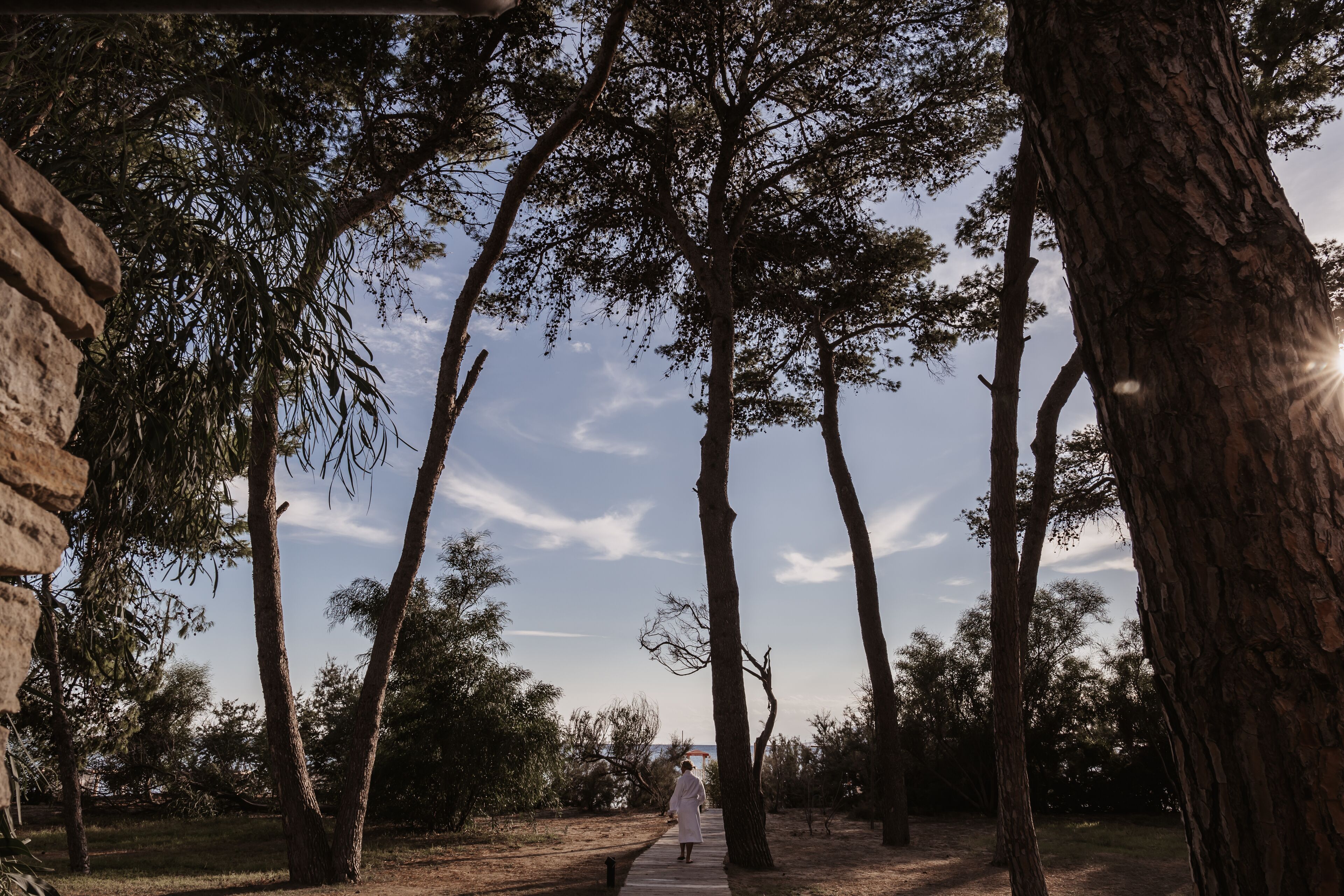A pathway surrounded by tall trees with a person walking away from the camera.