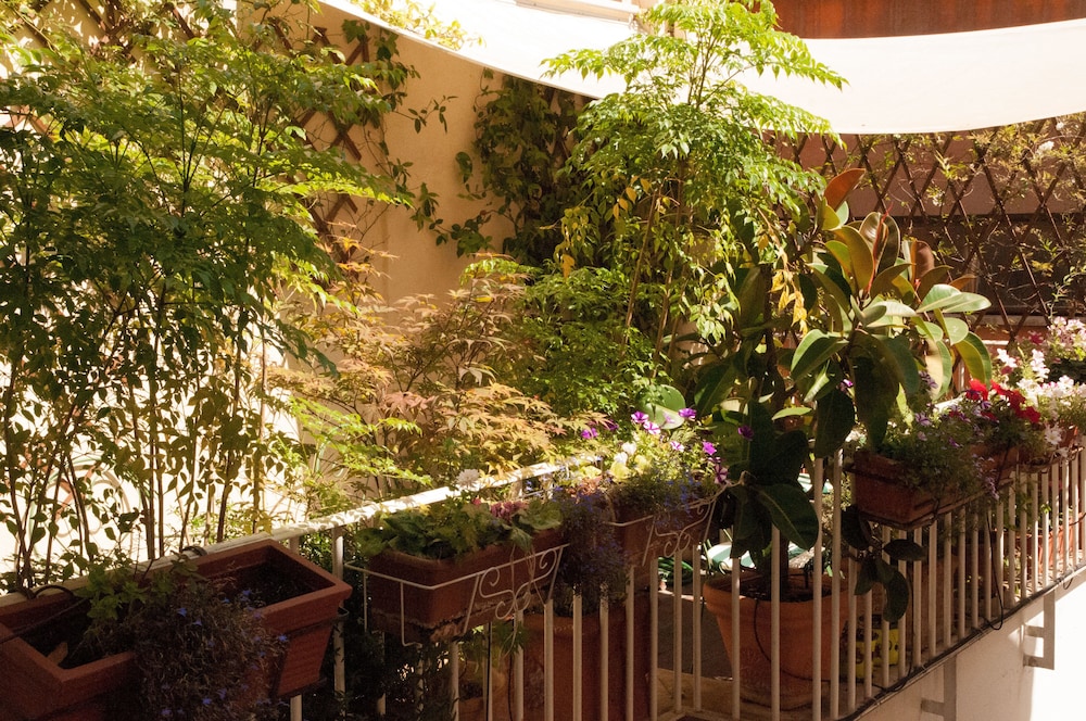 Relais Teatro Argentina by null