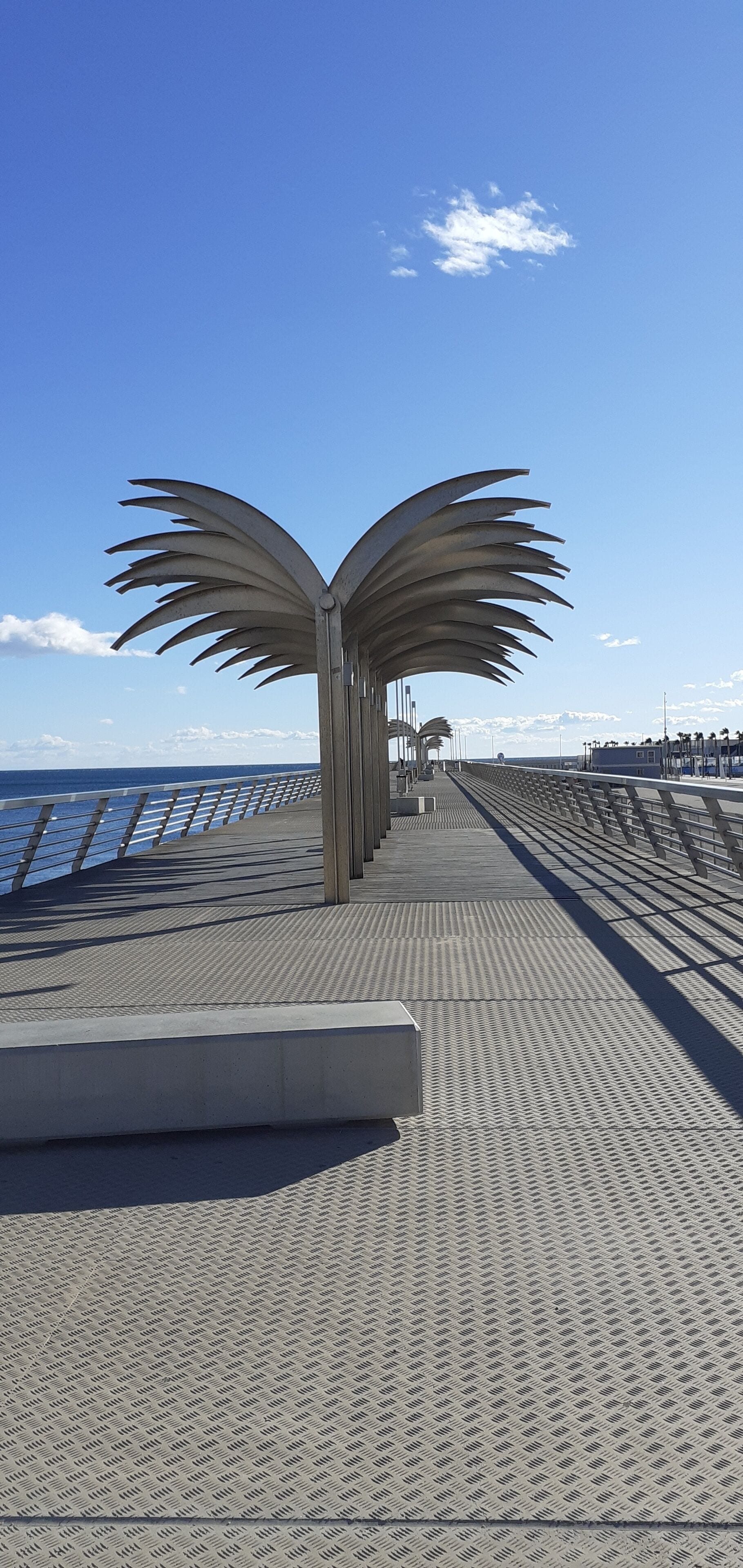 Photo - Pensión Alicante San Nicolás