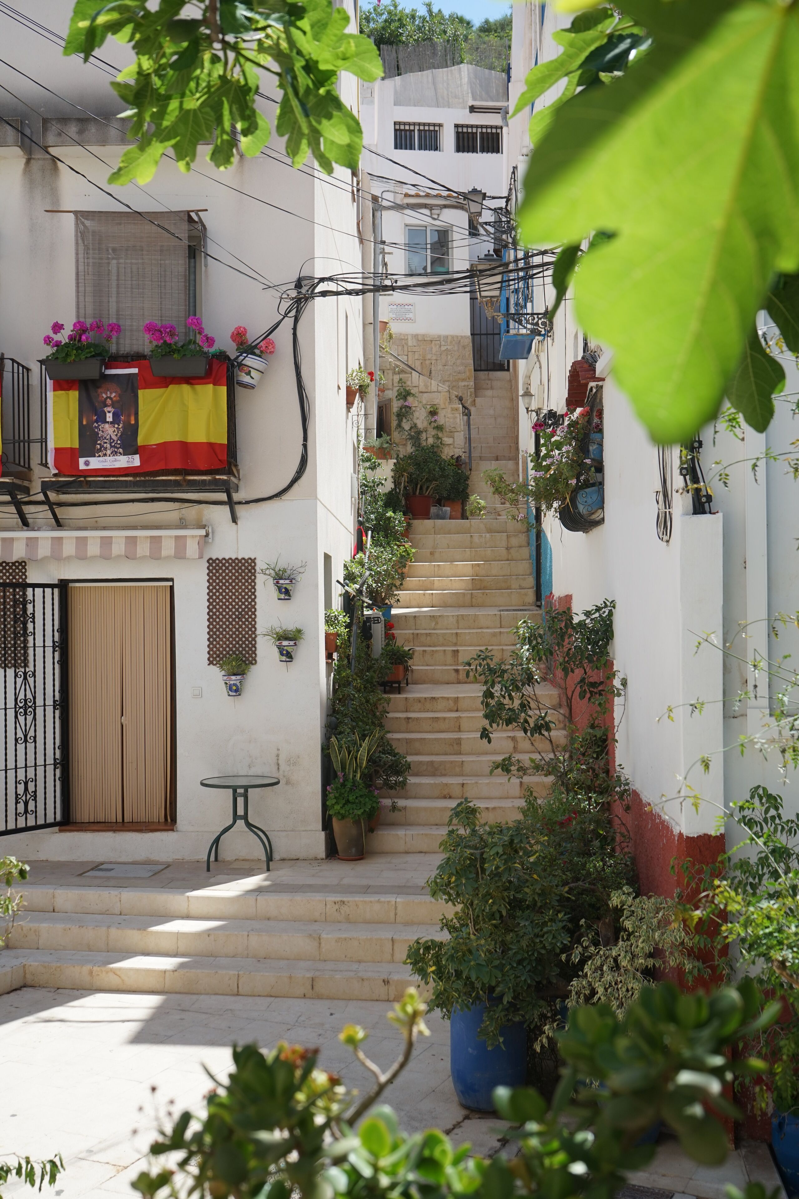 Foto - Pensión Alicante San Nicolás