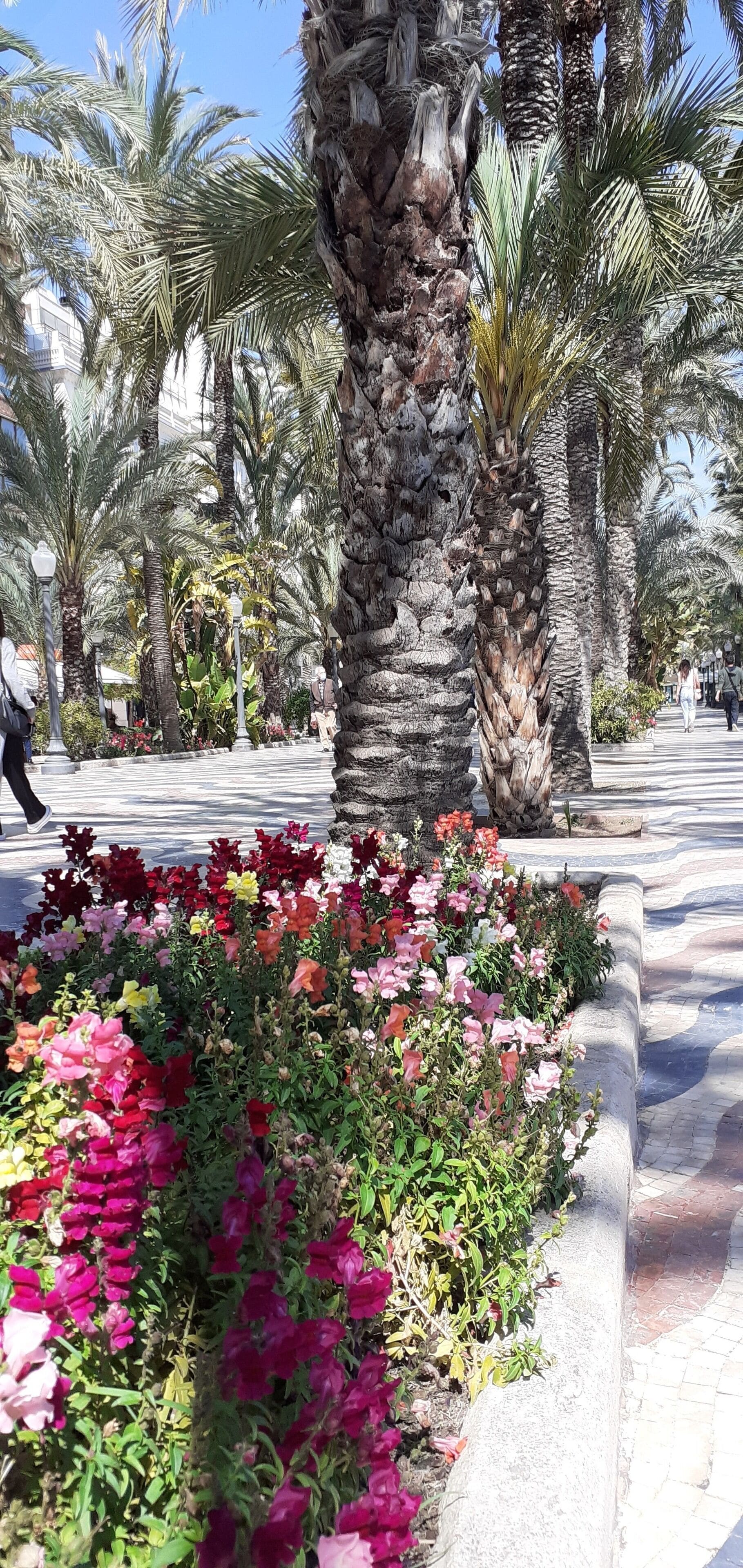 Foto - Pensión Alicante San Nicolás