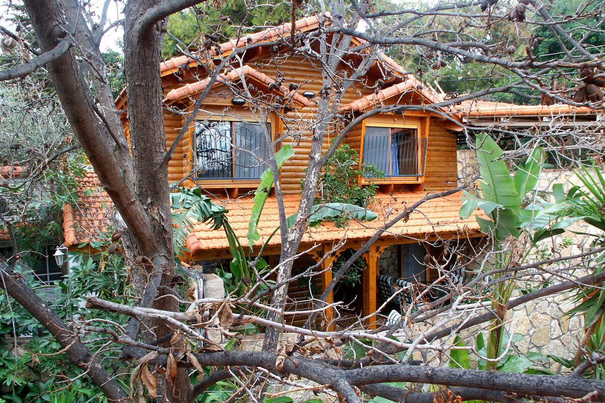 A wooden cabin with a sloped roof, surrounded by dense foliage and trees.