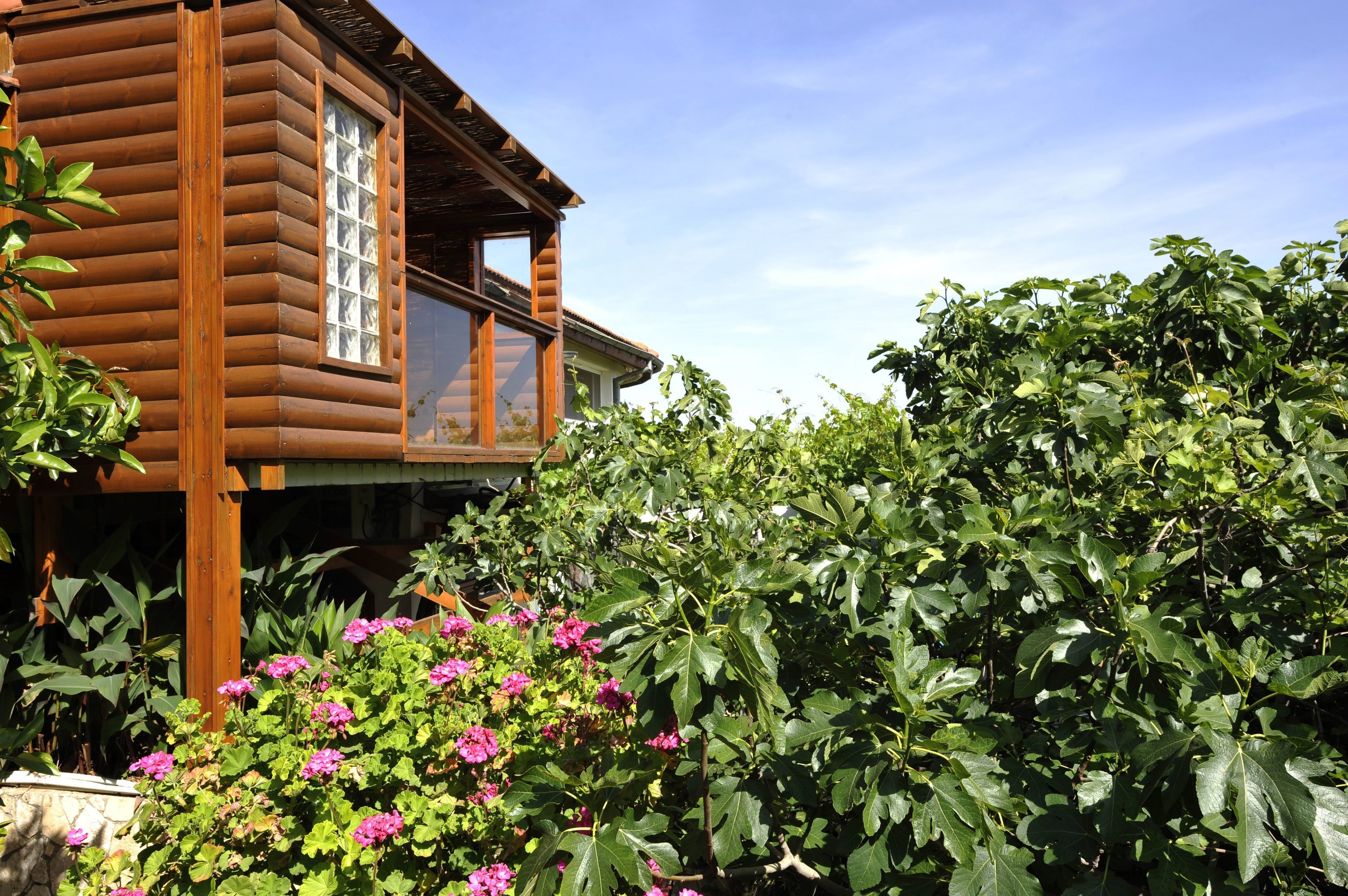 Deluxe Double Room with Balcony (Bat Harim) | Balcony