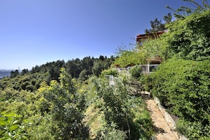 A hillside property with a stone pathway leading to a building with a red roof.