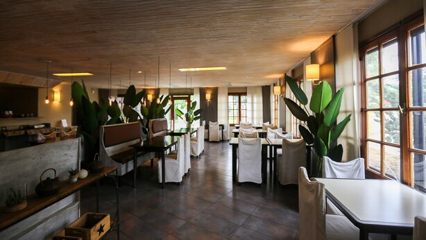 A spacious dining area with wooden tables and chairs, large potted plants, and a view of the outdoors through large windows.