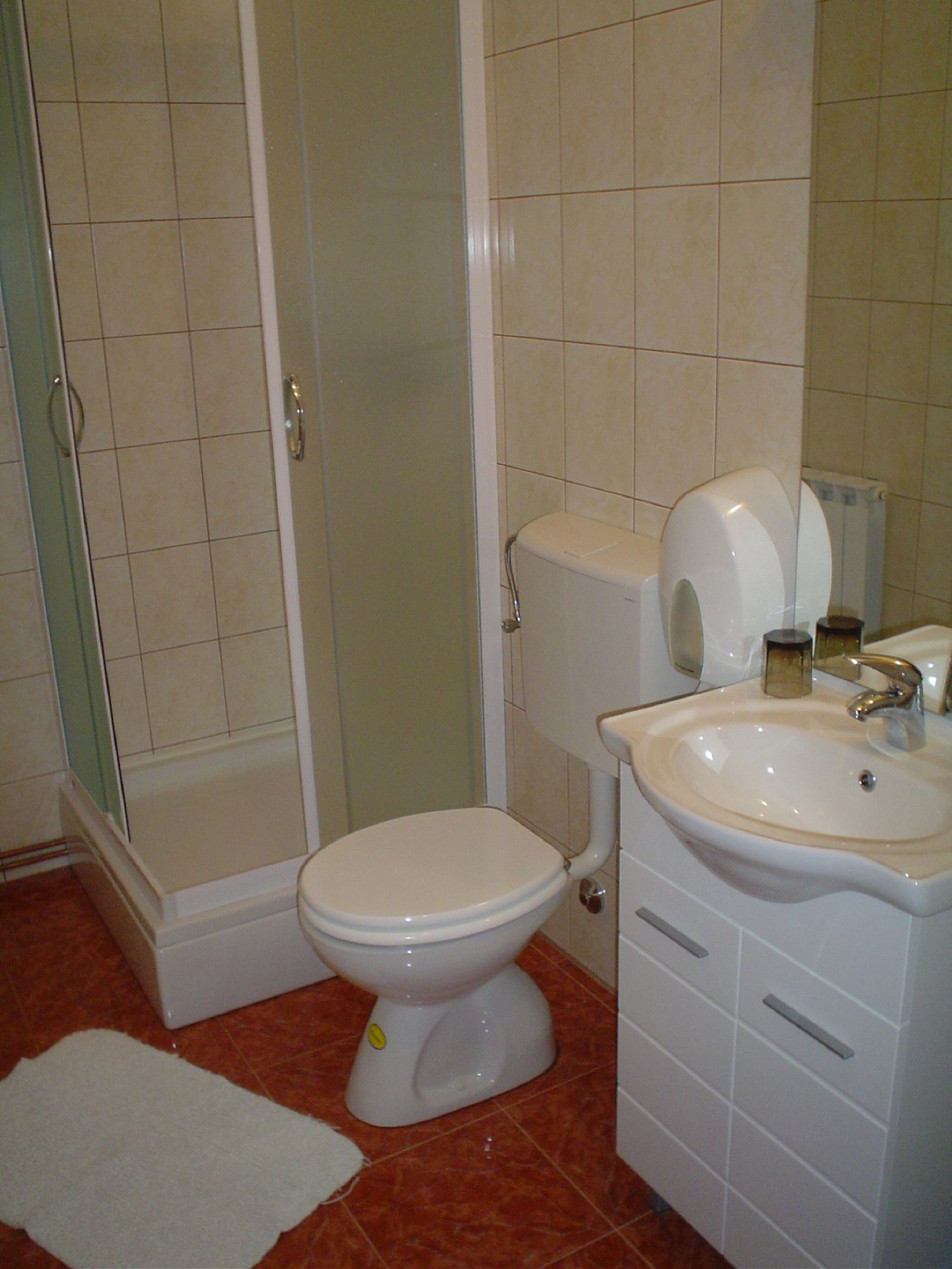 A bathroom with a toilet, sink, and shower.