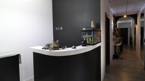 Una recepción con un cartel de 'Welcome', un gato y un acuario.