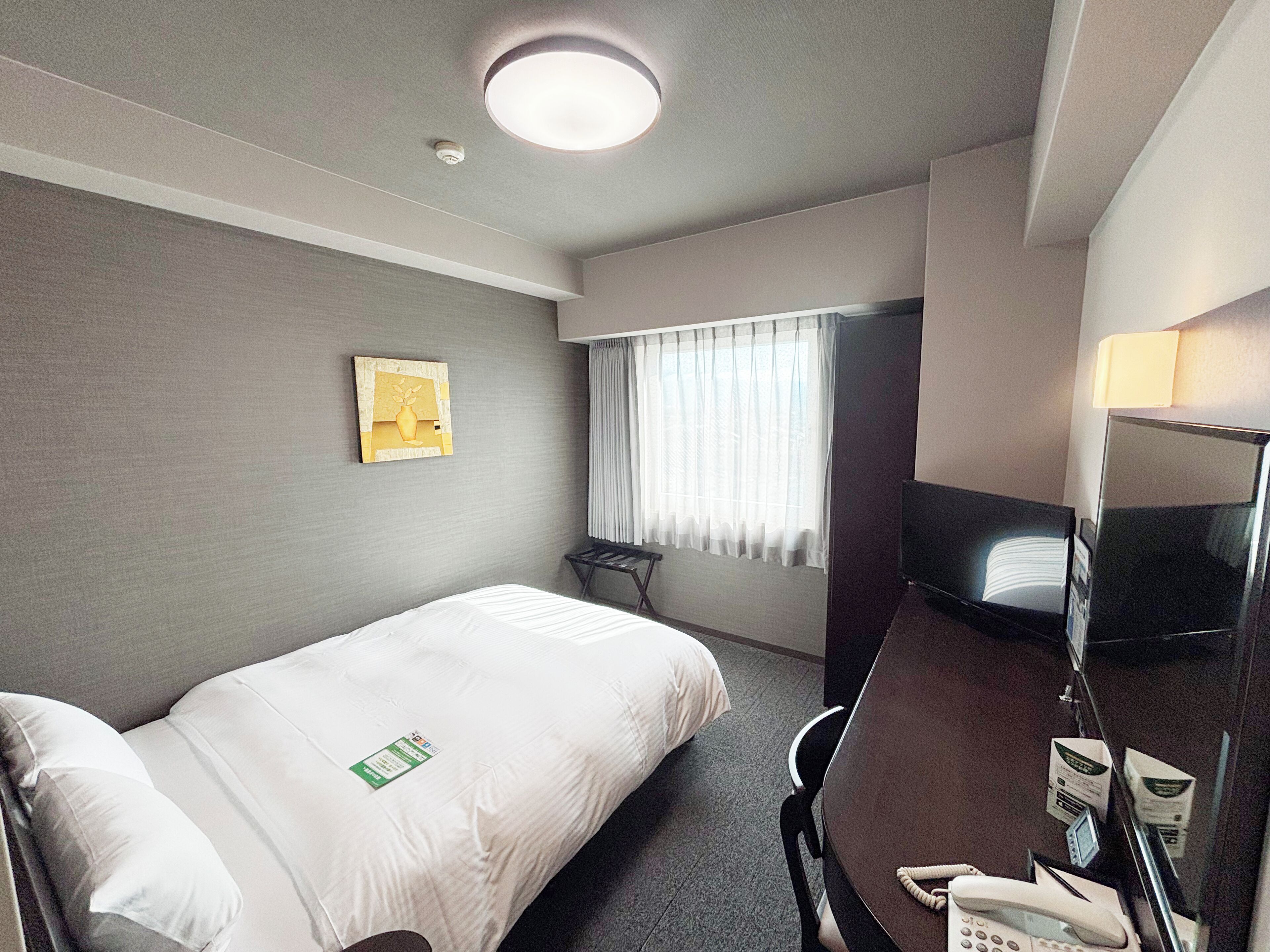 A hotel room with a bed, a desk with a telephone, a television, and a window with curtains.