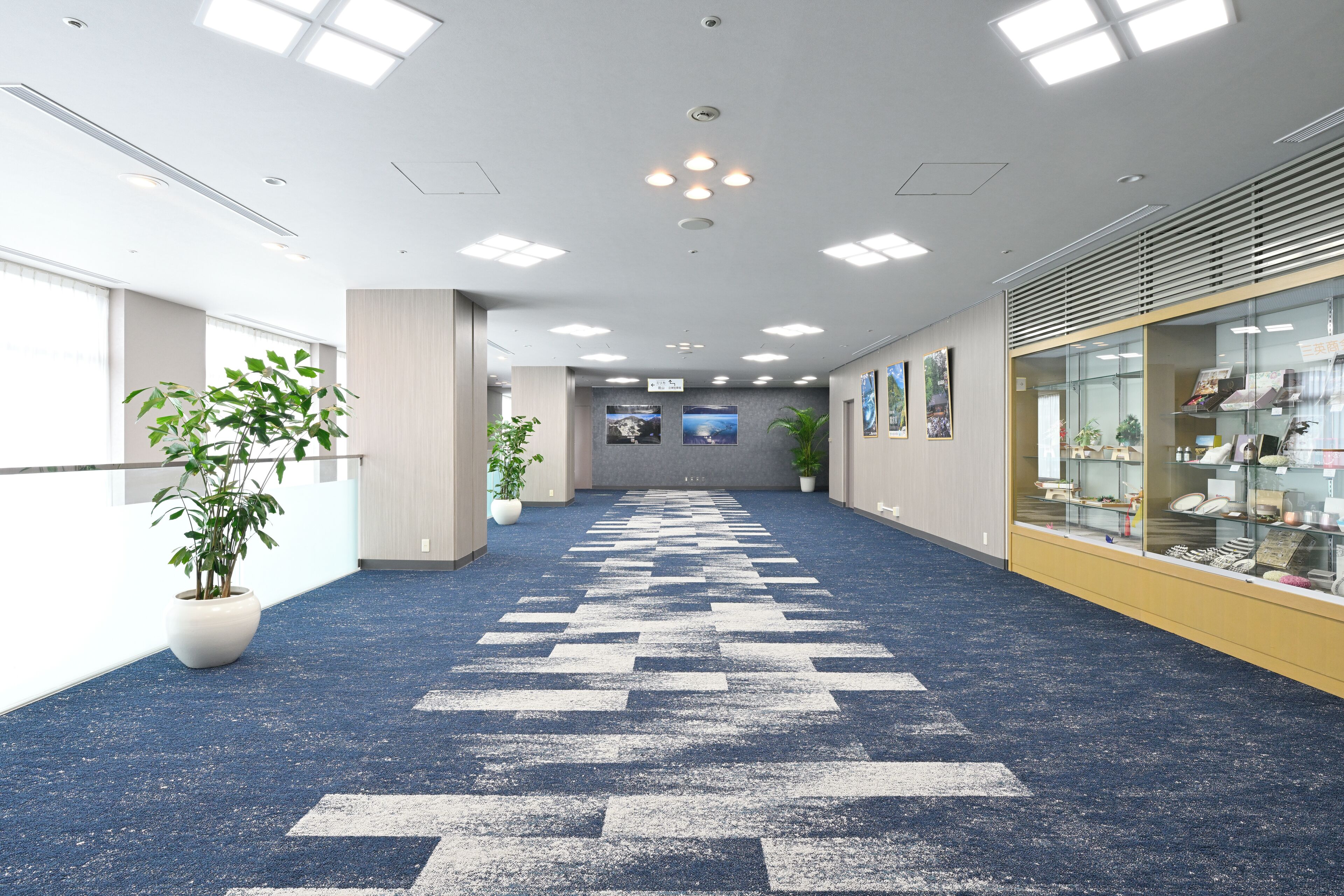 A hallway with a patterned carpet, potted plants, and glass display cases on the right.