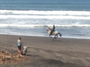 On the beach, surfing