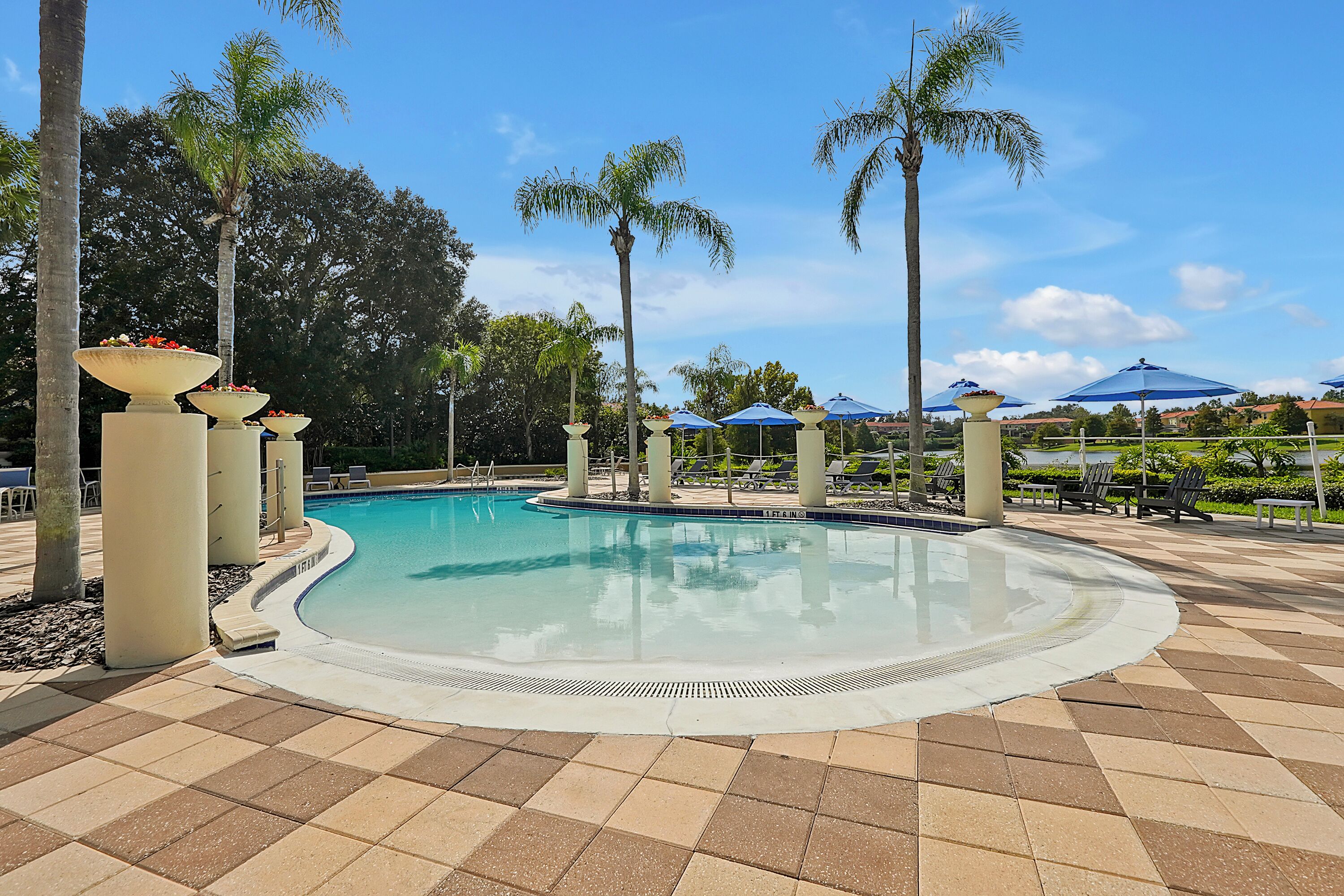 A swimming pool with a tiled deck, surrounded by palm trees and lounge chairs.