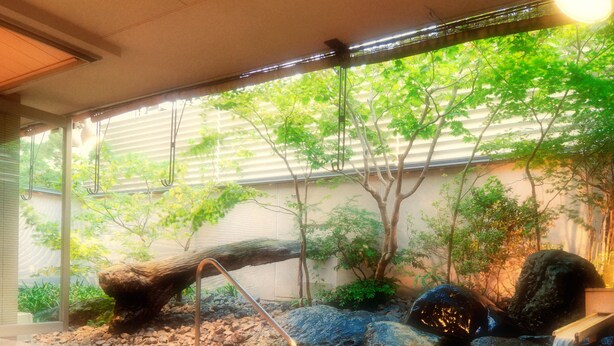A hot spring area with a stone bench, a small waterfall, and a wooden bridge. - Kanazawa Manten Hotel Ekimae (Kanazawa)