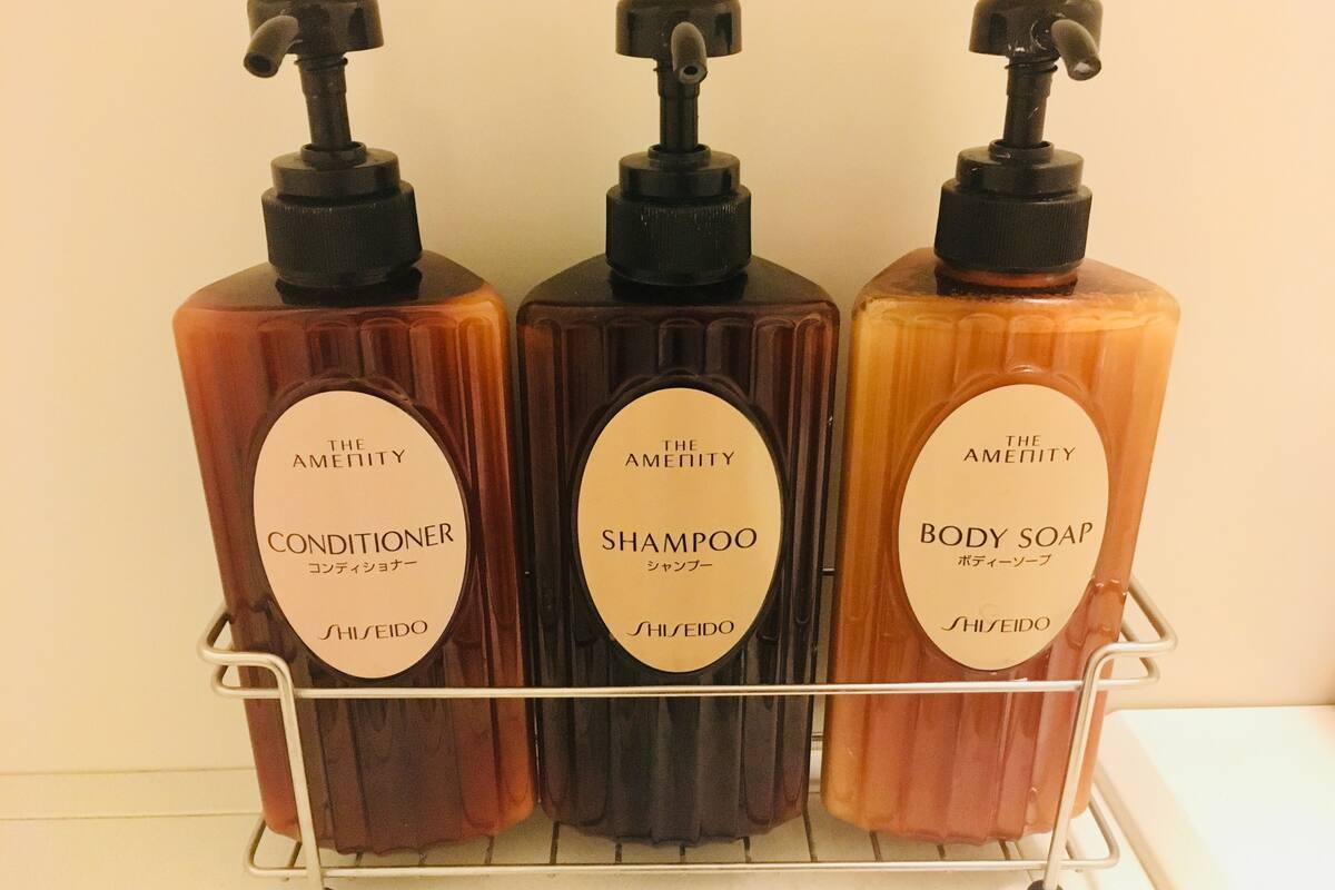 shower, free toiletries, hair dryer, slippers