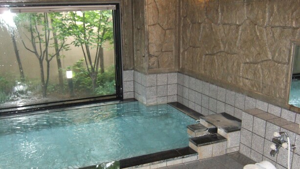A bathroom with a bathtub, a toilet, and a window with a view of trees. - Hotel Route-Inn Itoigawa (Itoigawa)