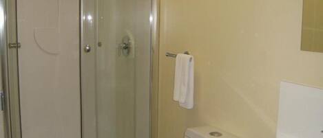 A bathroom with a glass-enclosed shower, a toilet, and a sink.