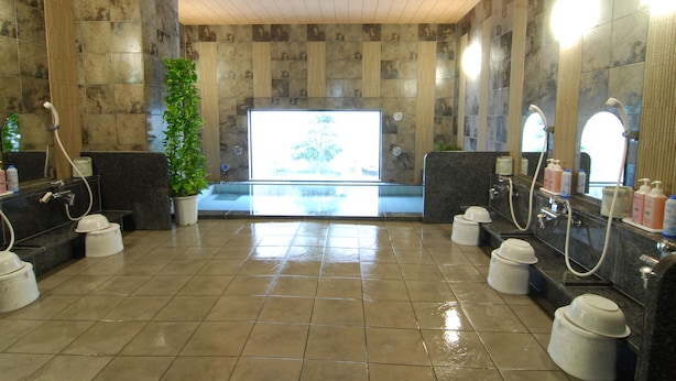 Des toilettes publiques dotées de plusieurs lavabos, d’une plante en pot et d’une grande fenêtre.