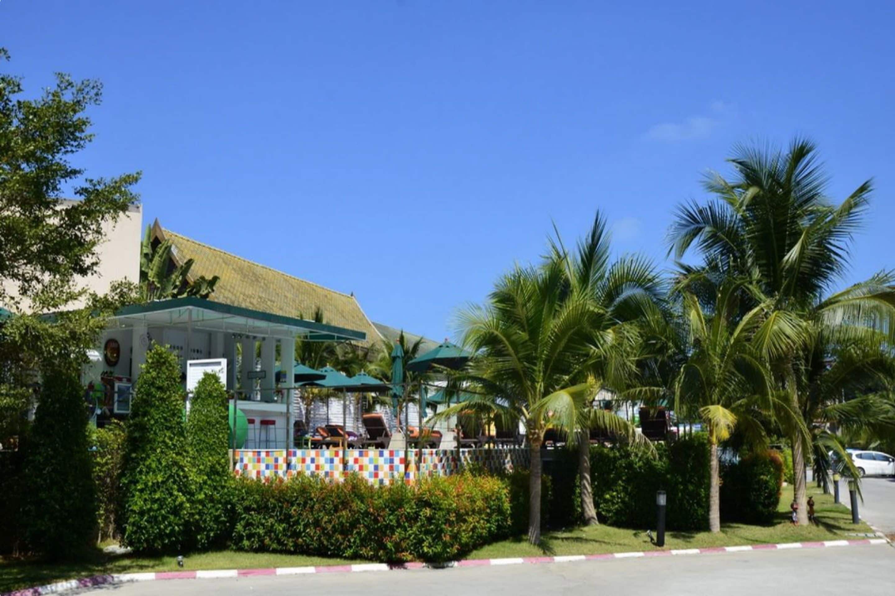 Foto - Samui Verticolor